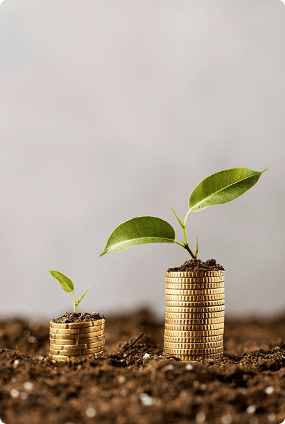 Equity Portfolio Benefits