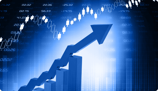 Maximize Profits